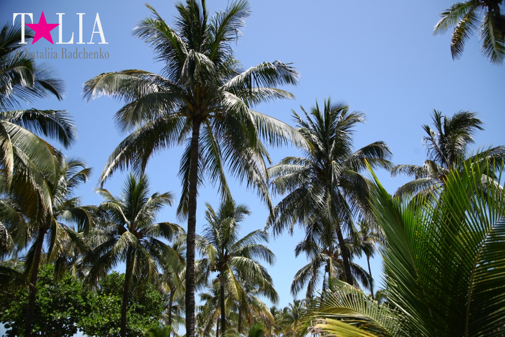 Парк Люммус на Майами Бич (Lummus Park, South Beach, Miami Beach)